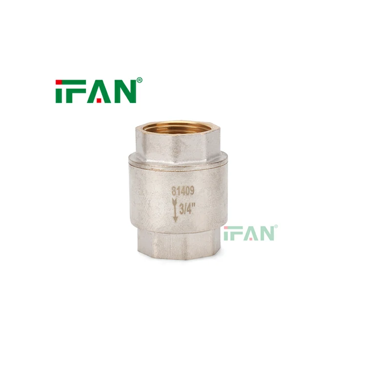 How Does a Brass Check Valve Work